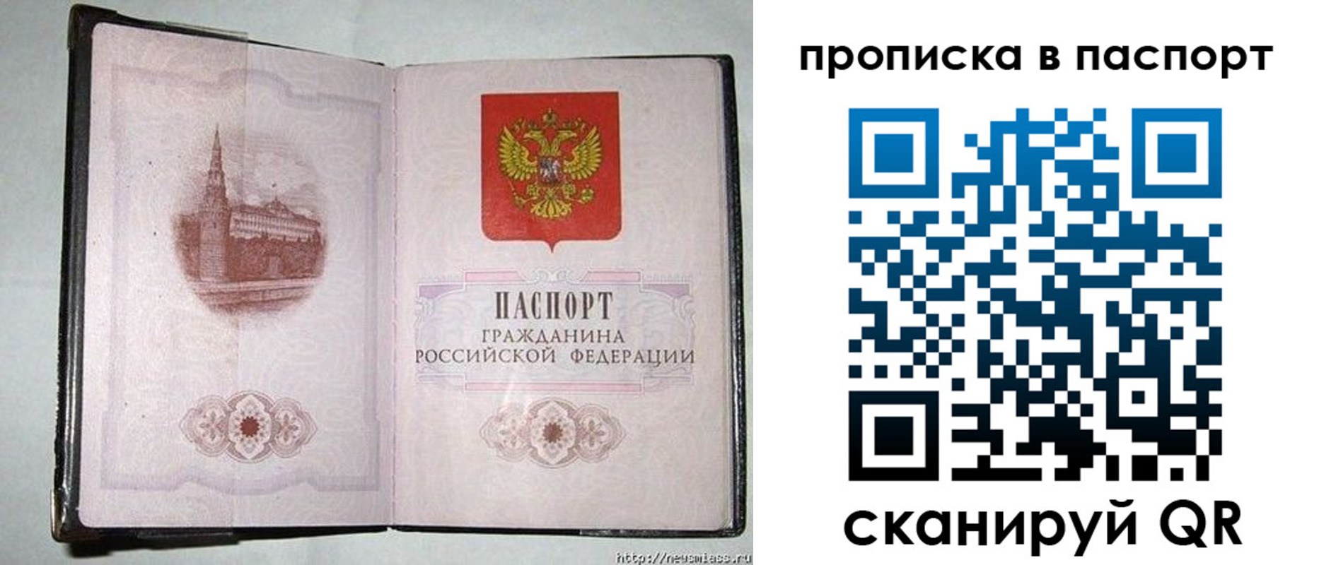 прописка штамп в Заринске